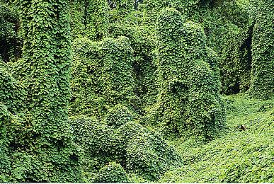 《悲伤女士：第一夜》免费发布 绘图风格恐怖新游