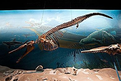 《艾尔登法环》“斗技场”12.7推出 免费更新、玩家对决